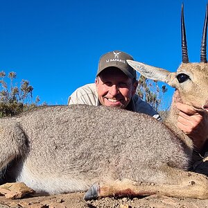 Vaal Rhebok Hunt Eastern Cape South Africa