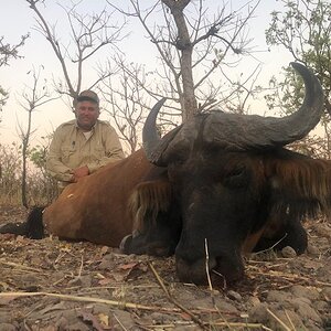 Buffalo Hunting Cameroon