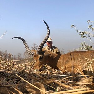 Kob Antelope Hunting Cameroon