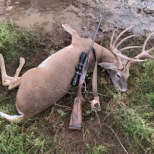 Whitetail Deer Hunt