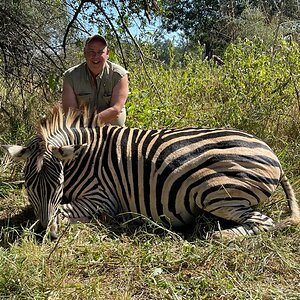 Zebra Hunting Zimbabwe