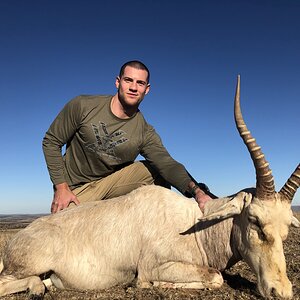 White Blesbok Hunting Eastern Cape South Africa