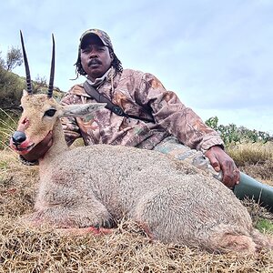 Vaal Rhebuck Hunting Eastern Cape South Africa