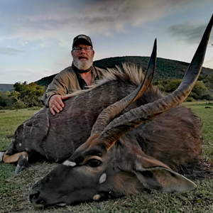 Nyala Hunting Eastern Cape South Africa