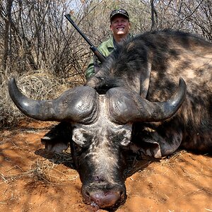 Buffalo Hunting South Africa