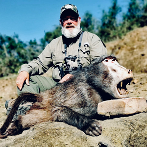 Baboon Hunt Eastern Cape South Africa