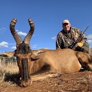 Red Hartebeest Hunt