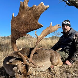 Fallow Deer Hunt