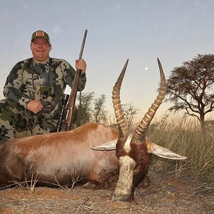 Blesbok Hunting Namibia