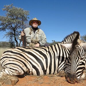 Plains Zebra Hunting Namibia