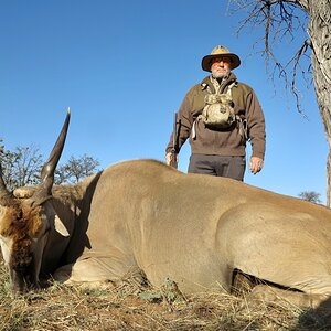 Eland Hunting Namibia