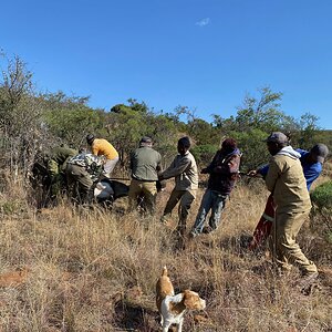 Trophy Recovery Eastern Cape South Africa