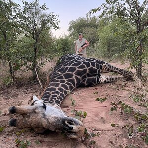Zimbabwe Giraffe Hunt