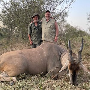 Eland Hunt Zimbabwe