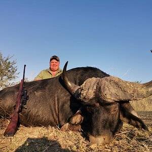 Buffalo Hunting South Africa