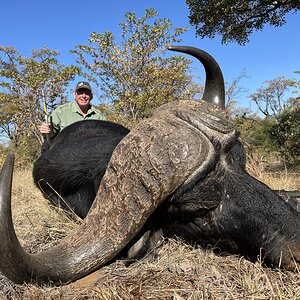 Buffalo Hunting South Africa