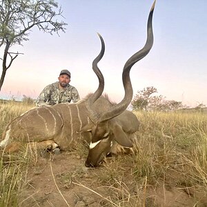 Kudu Hunting South Africa