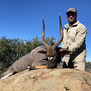 Nyala Hunting South Africa