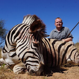 Zebra Hunt Botswana