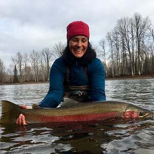 Wild Steelhead Fishing