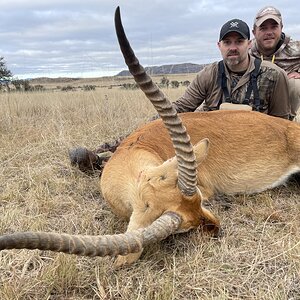 Lechwe Hunting Eastern Cape South Africa