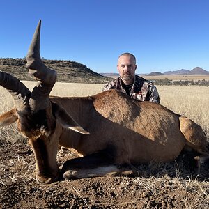 Red Hartebeest Hunting Eastern Cape South Africa