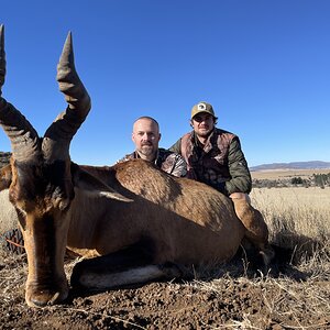 Red Hartebeest Hunting Eastern Cape South Africa