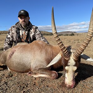 Blesbok Hunting Eastern Cape South Africa