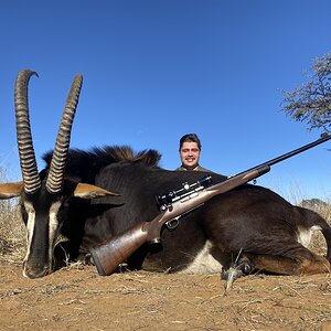 Sable Hunting Free State Province South Africa