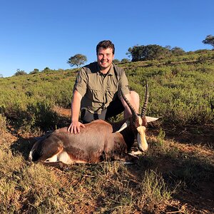 Blesbok Hunting Eastern Cape South Africa