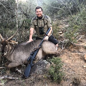 Waterbuck Hunting Eastern Cape South Africa