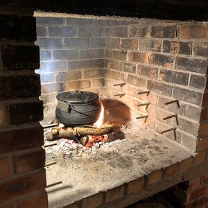 Springbok Stew