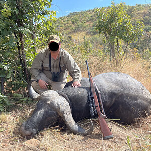 Buffalo Hunt Zimbabwe