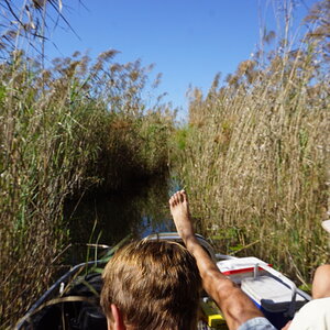 Okavango Delta Nature Botswana