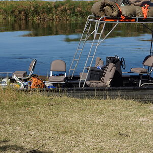 Okavango Delta Nature Botswana