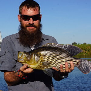 Bream Fishing Okavango Delta Botswana