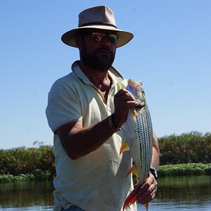 Tiger Fishing Okavango Delta Botswana