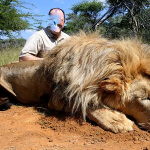 Lion Hunting South Africa