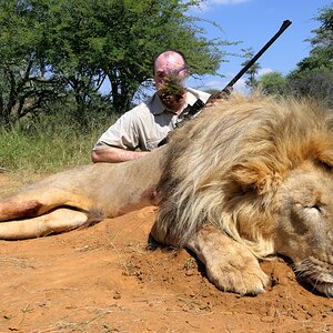 Lion Hunting South Africa