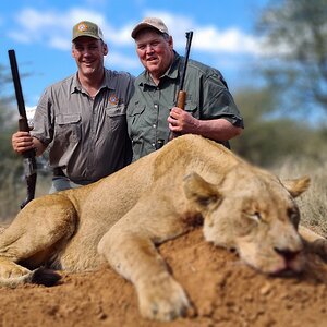 Lioness Hunting South Africa