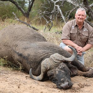 Zimbabwe Buffalo Hunt