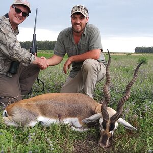 Blackbuck Hunting Argentina