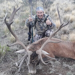 Red Stag Hunting Argentina