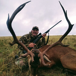 Red Stag Hunting Argentina