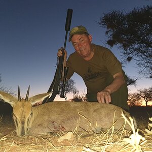 Steenbok Hunting South Africa