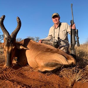 Red Hartebeest Hunting South Africa