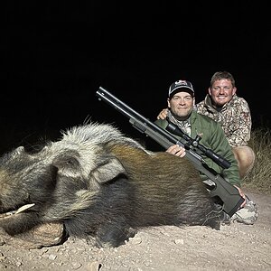 Bushpig Hunt South Africa