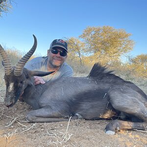 Black Springbok Hunt South Africa