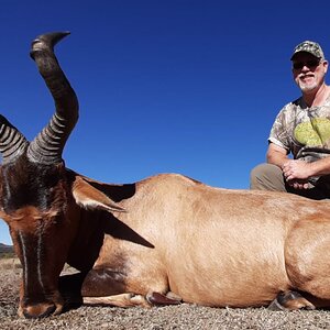 Hartebeest Hunt South Africa
