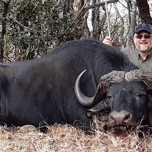 Buffalo Hunt South Africa